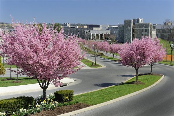 THE INN AT VIRGINIA TECH AND SKELTON (Blacksburg)